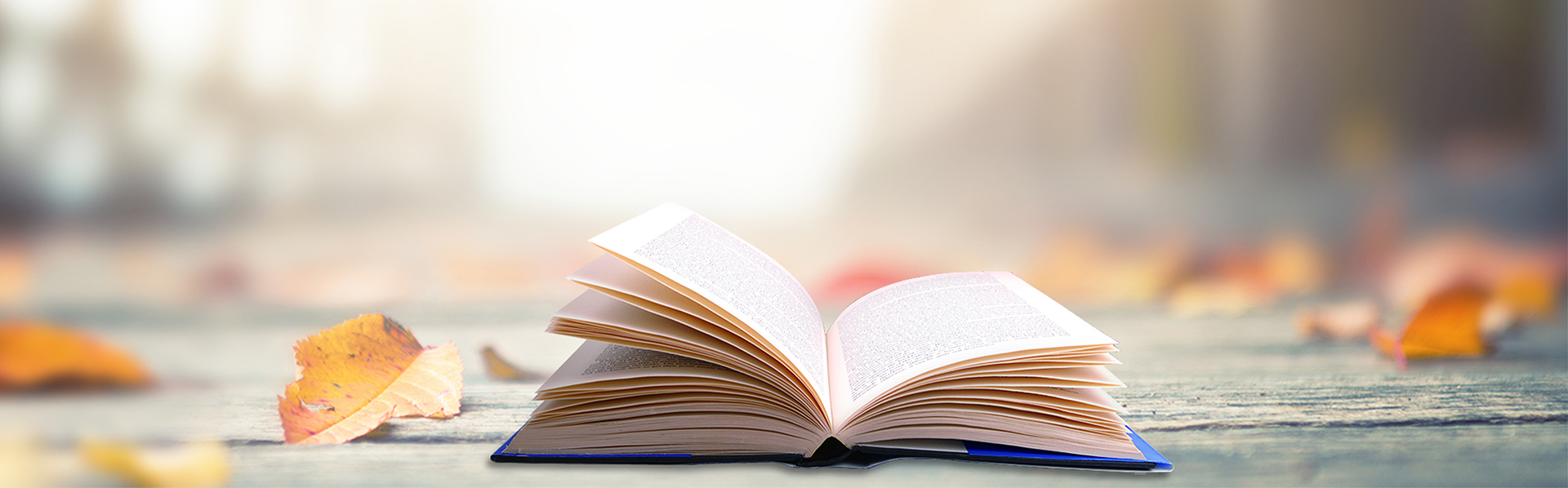 k8.com·(中国区)官方网站